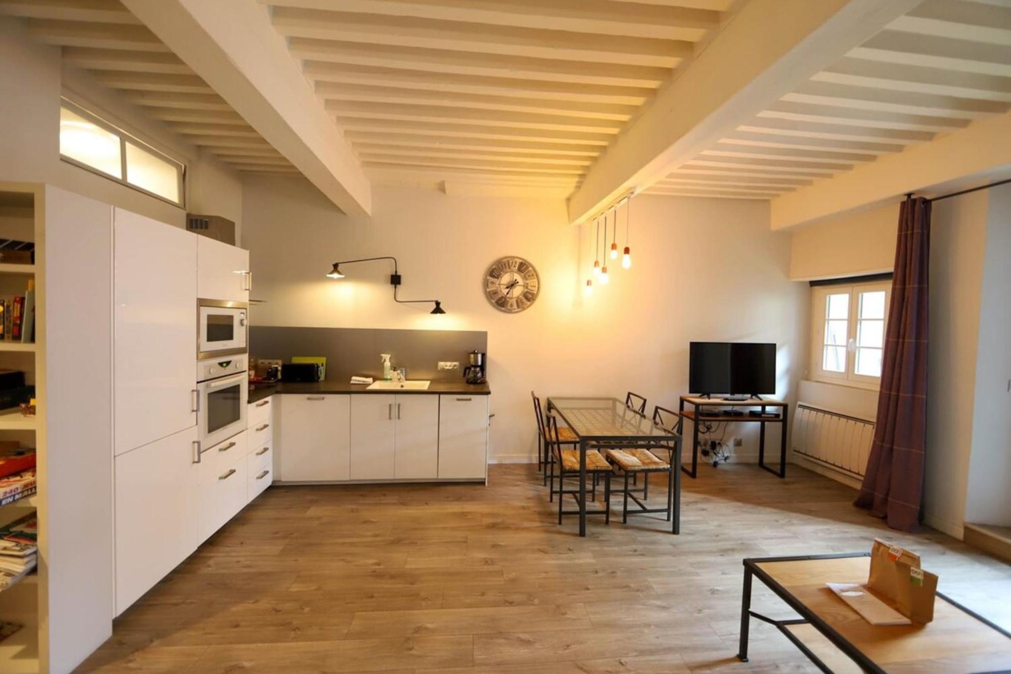 55 M2 Apart With Big Terrace In Annecy Downtown Ngoại thất bức ảnh