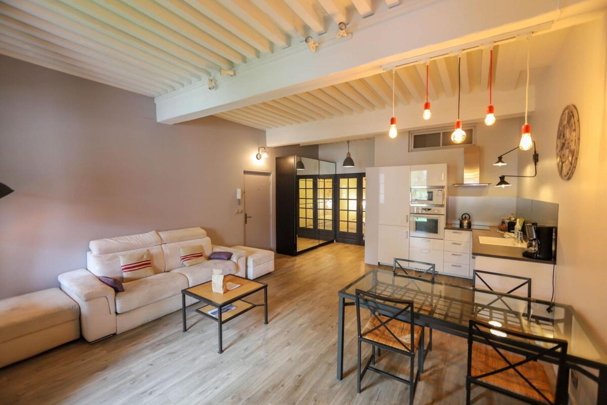 55 M2 Apart With Big Terrace In Annecy Downtown Ngoại thất bức ảnh